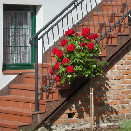 Ultima Villa *